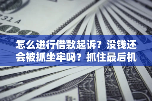 北京怎么进行借款起诉？没钱还会被抓坐牢吗？抓住最后机会！