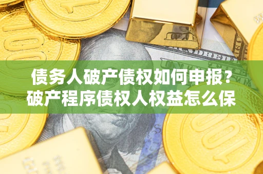 北京债务人破产债权如何申报？破产程序债权人权益怎么保障？