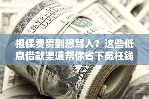 北京担保费贵到想骂人？这些低息借款渠道帮你省下冤枉钱