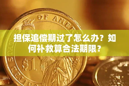 北京担保追偿期过了怎么办？如何补救算合法期限？