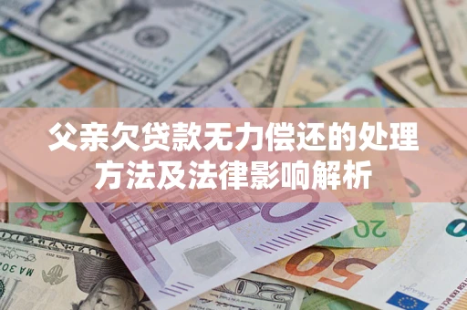 北京父亲欠贷款无力偿还的处理方法及法律影响解析